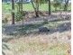1987 Strathalbyn Road, Flaxley SA 5153
