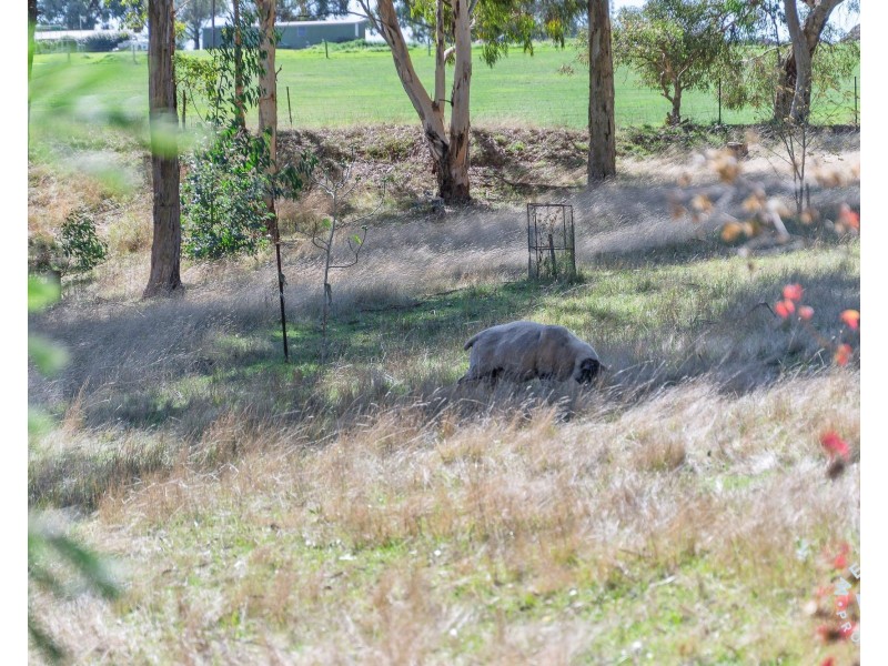 1987 Strathalbyn Road, Flaxley SA 5153