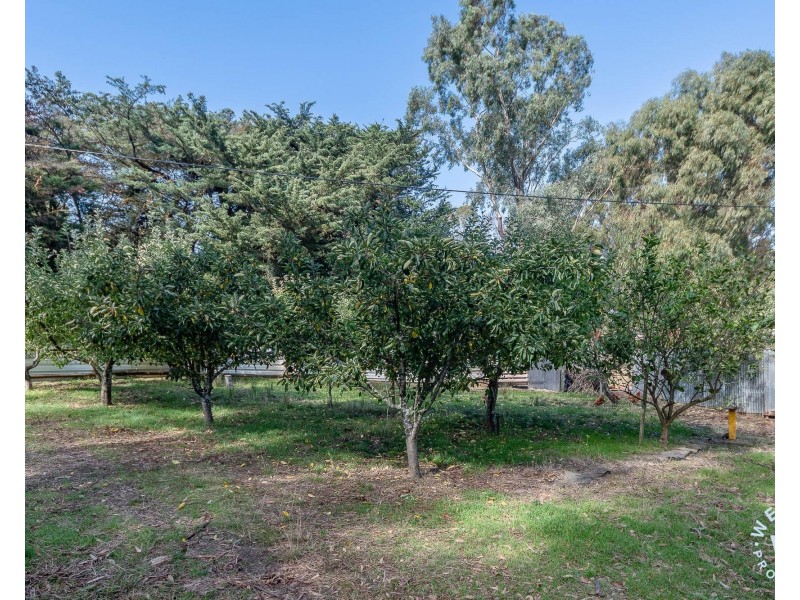 1987 Strathalbyn Road, Flaxley SA 5153