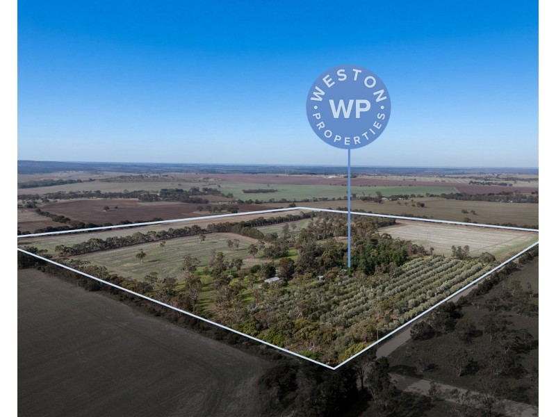 166 Tinpot Road, Woodchester SA 5255