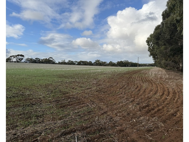 166 Tinpot Road, Woodchester SA 5255
