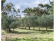 166 Tinpot Road, Woodchester SA 5255