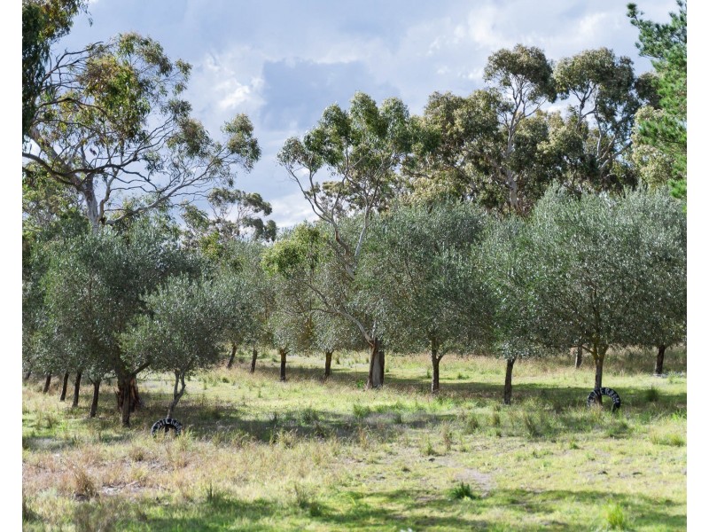 166 Tinpot Road, Woodchester SA 5255