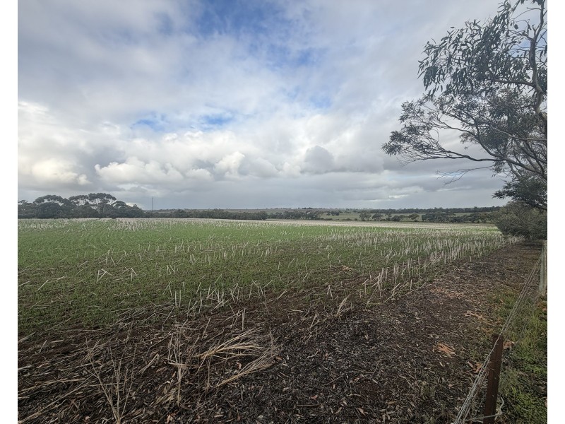 166 Tinpot Road, Woodchester SA 5255