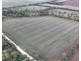 166 Tinpot Road, Woodchester SA 5255