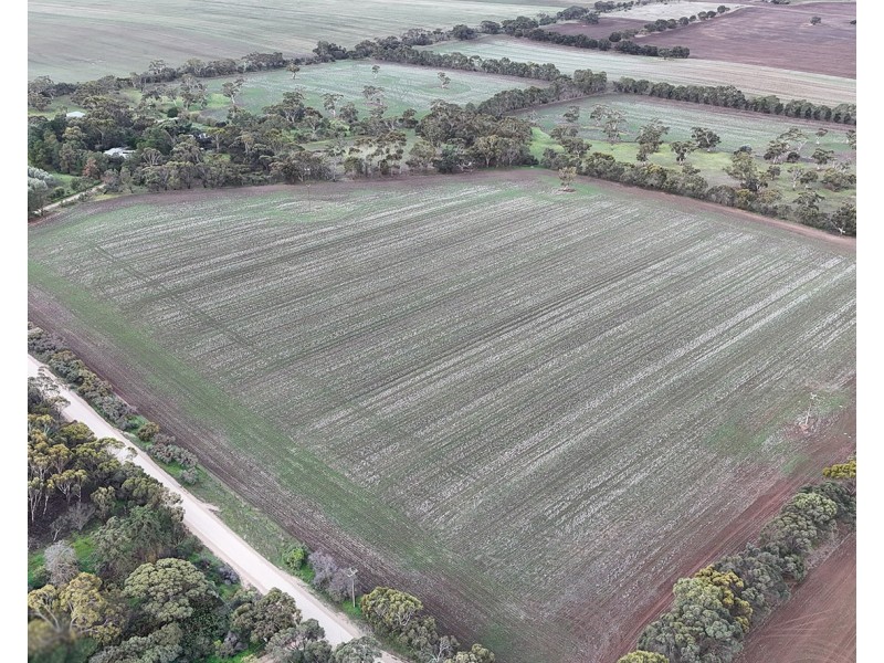 166 Tinpot Road, Woodchester SA 5255
