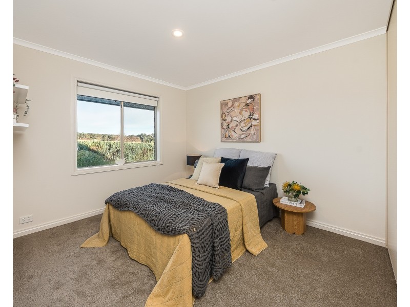 52 Rachel Circuit, Nairne SA 5252
