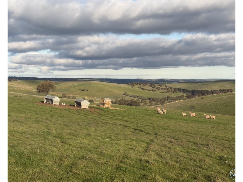 303 Snake Gully Road, Harrogate SA 5244