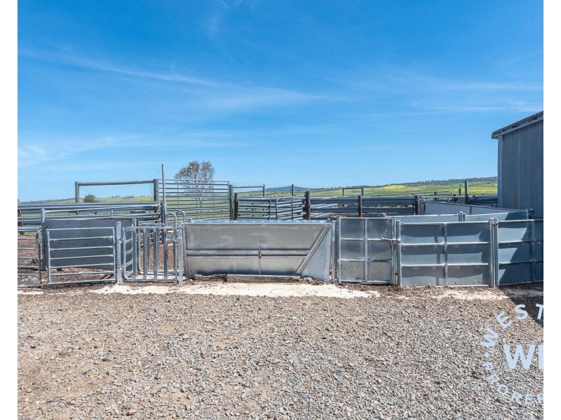 303 Snake Gully Road, Harrogate SA 5244