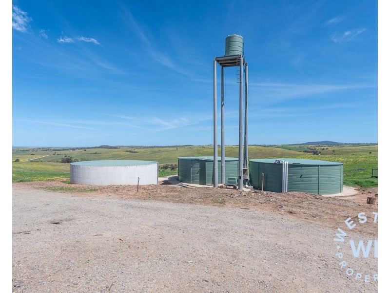 303 Snake Gully Road, Harrogate SA 5244