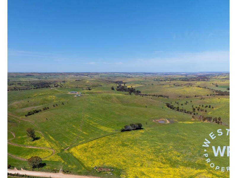 303 Snake Gully Road, Harrogate SA 5244