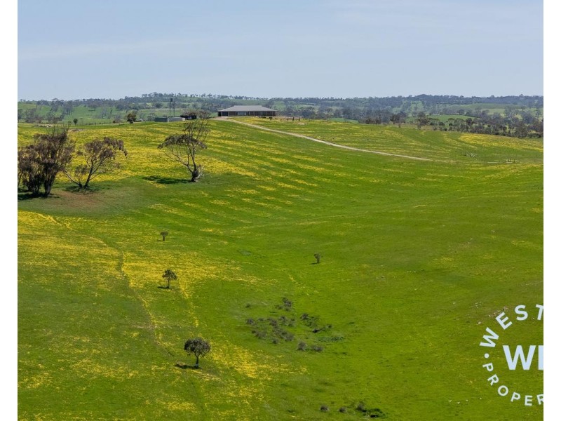303 Snake Gully Road, Harrogate SA 5244
