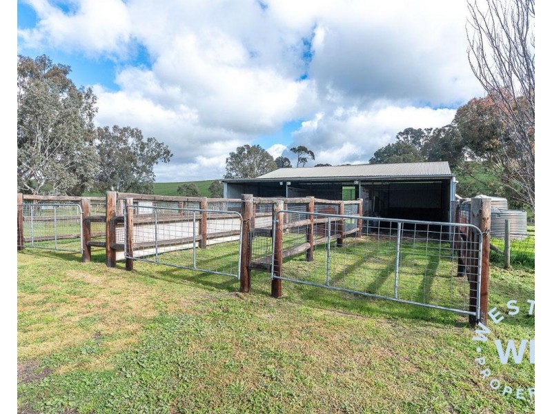 102 Angas Creek Road, Birdwood SA 5234