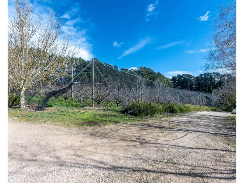178 Plummers Road, Forest Range SA 5139