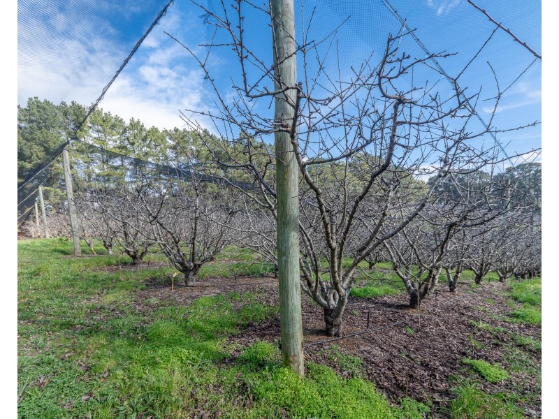 178 Plummers Road, Forest Range SA 5139