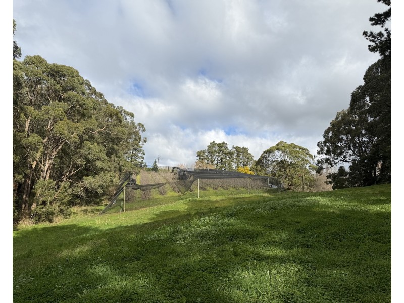 178 Plummers Road, Forest Range SA 5139