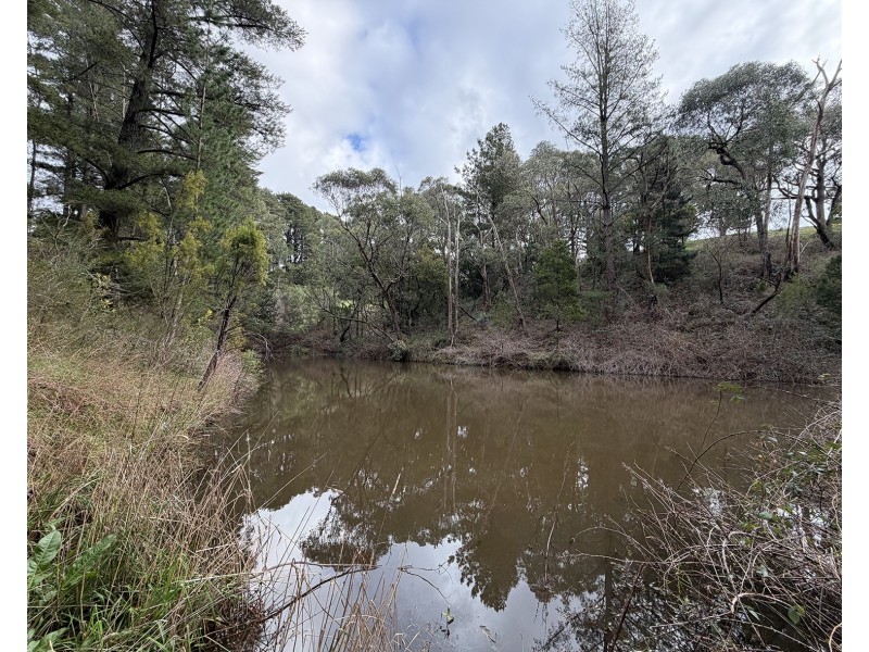 178 Plummers Road, Forest Range SA 5139