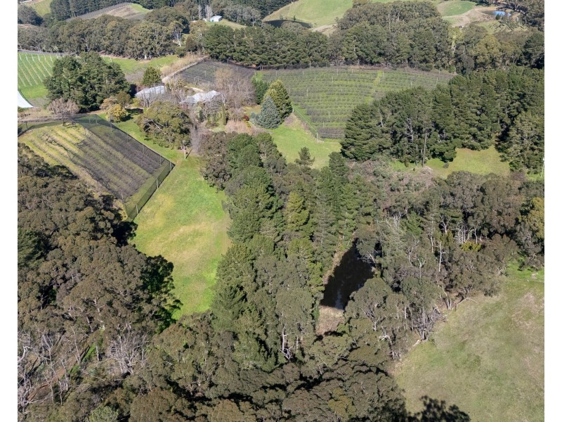 178 Plummers Road, Forest Range SA 5139