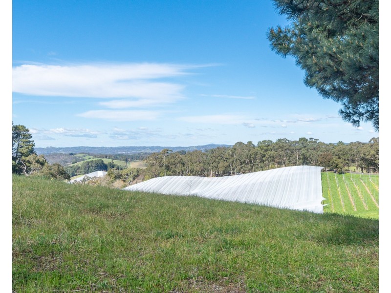178 Plummers Road, Forest Range SA 5139