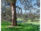 22 Karkoo Court, Mount Barker SA 5251