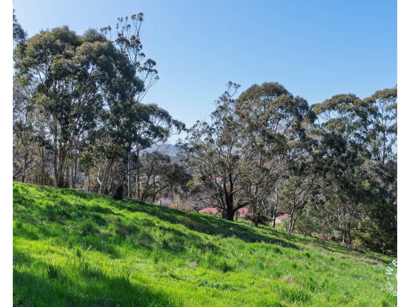 22 Karkoo Court, Mount Barker SA 5251