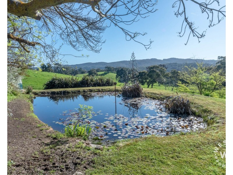 90 Peacock Road North, Lenswood SA 5240