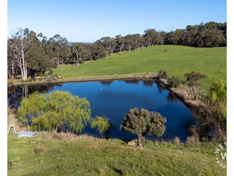 90 Peacock Road North, Lenswood SA 5240