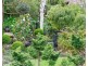 18 Bon Street, Lobethal SA 5241