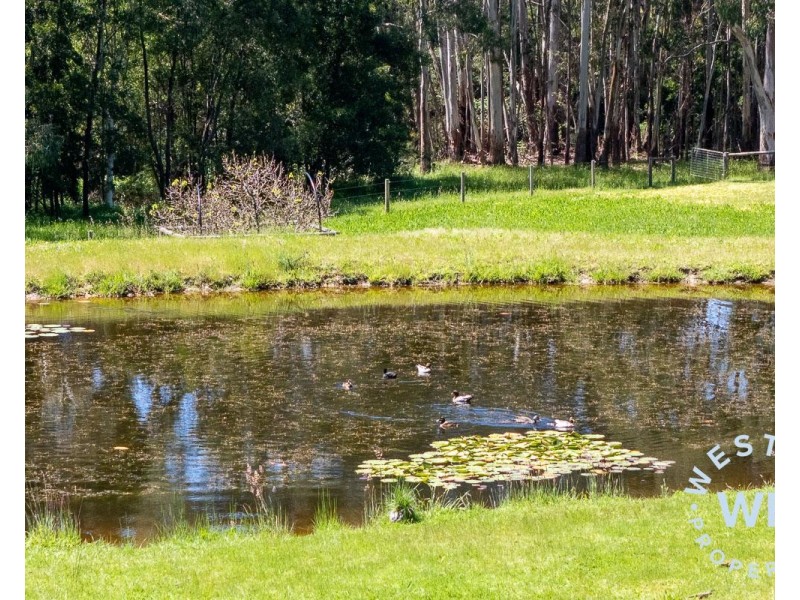 57 Hawthorne Road, Mylor SA 5153