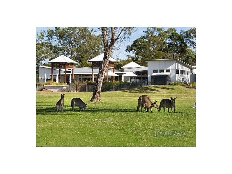 90 Beach Road Holiday Homes #41, Noosa North Shore QLD 4565