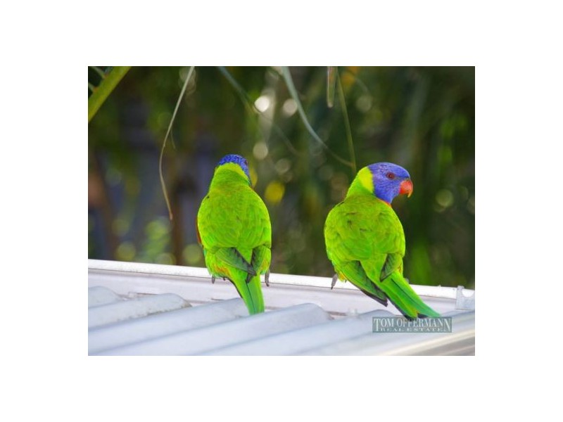 31/179 Weyba Rd, Noosaville QLD 4566