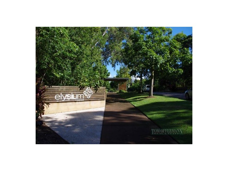 85 Smoke Bush Drive, Noosa Heads QLD 4567