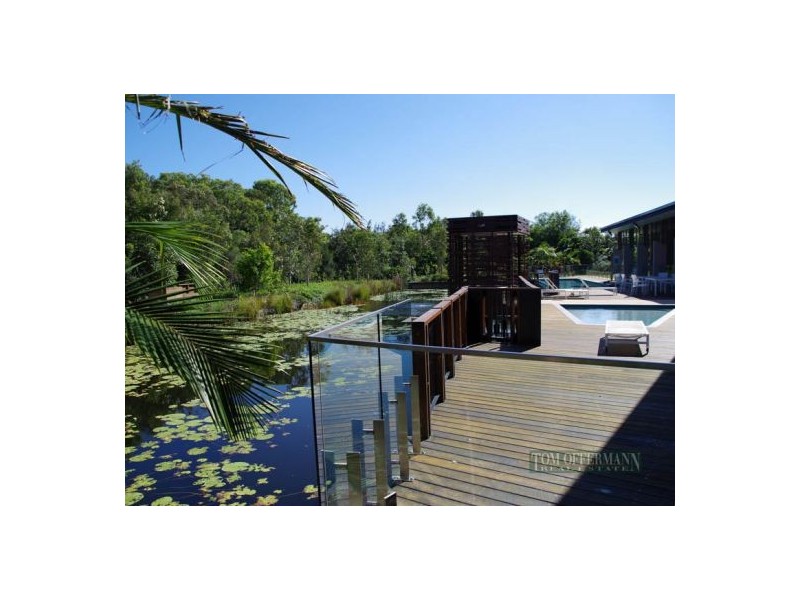 85 Smoke Bush Drive, Noosa Heads QLD 4567