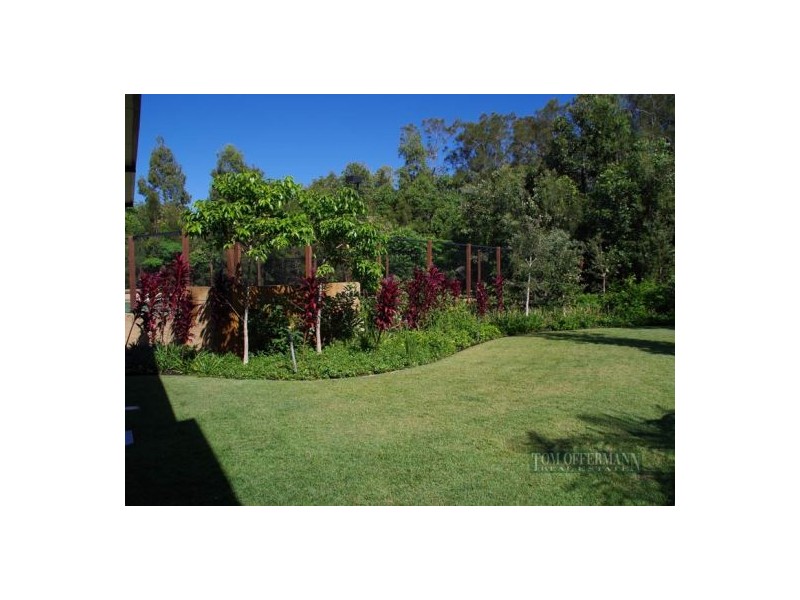 85 Smoke Bush Drive, Noosa Heads QLD 4567