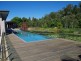 85 Smoke Bush Drive, Noosa Heads QLD 4567