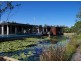 85 Smoke Bush Drive, Noosa Heads QLD 4567