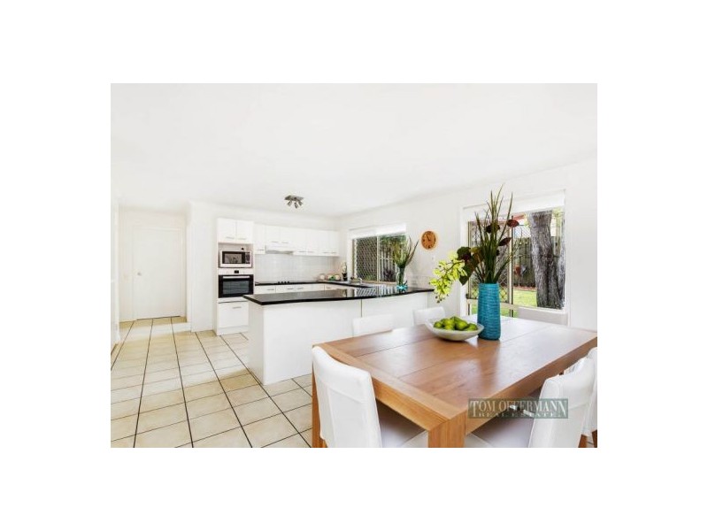 26 Stormbird Drive, Noosa Heads QLD 4567