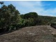 17 McAnally Drive, Sunshine Beach QLD 4567