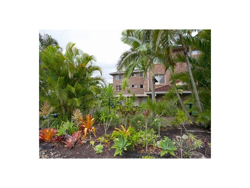 6/19 Wyandra St, Noosa Heads QLD 4567