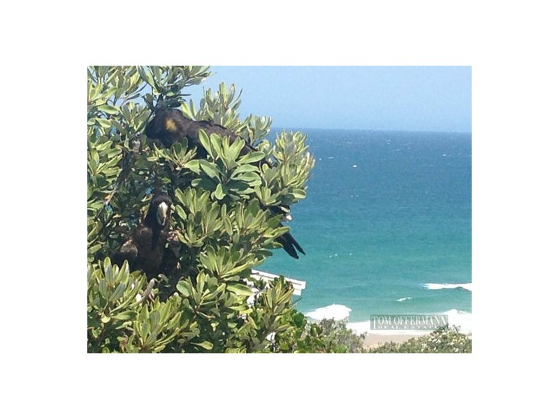 25 Adams St, Sunshine Beach QLD 4567