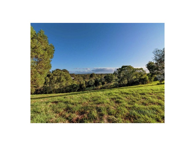 205 Blueberry Drive, Cooroy QLD 4563