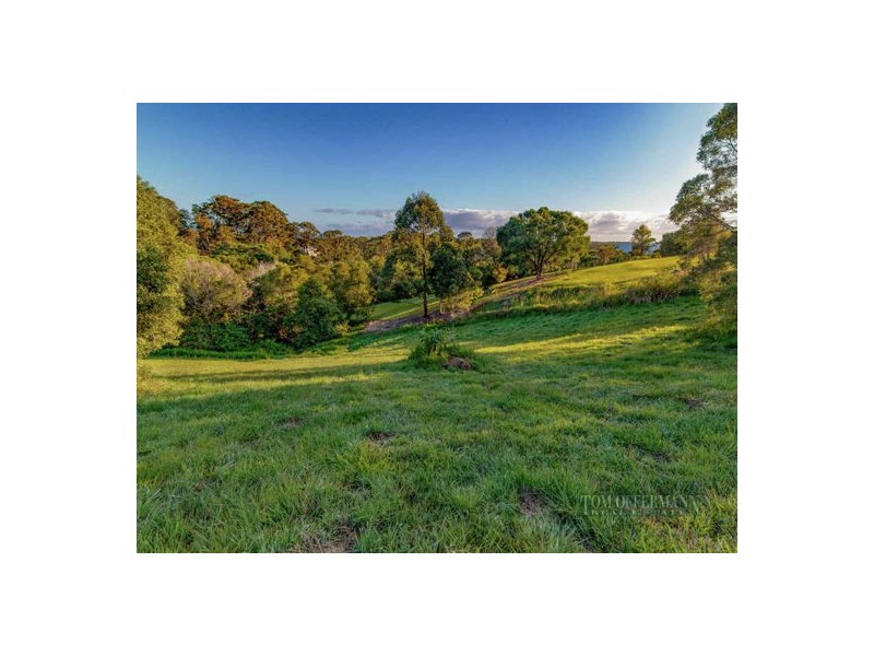 205 Blueberry Drive, Cooroy QLD 4563