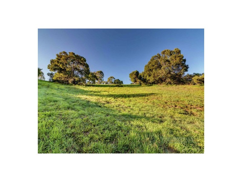 205 Blueberry Drive, Cooroy QLD 4563