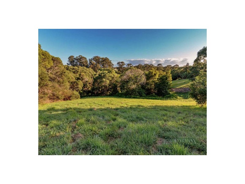 205 Blueberry Drive, Cooroy QLD 4563