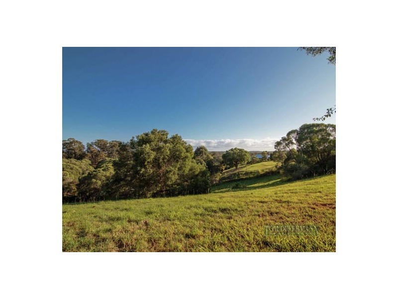 205 Blueberry Drive, Cooroy QLD 4563