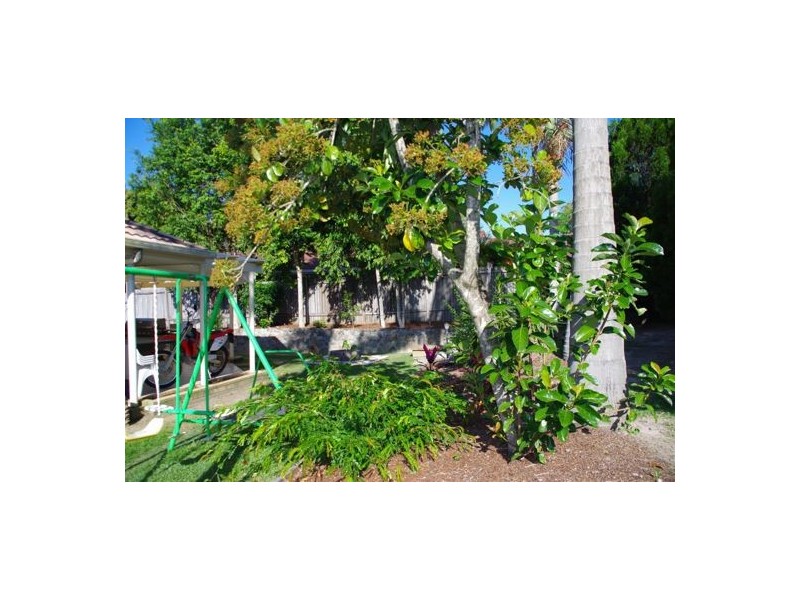 4 Woolumba Street, Tewantin QLD 4565