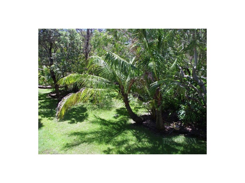 7 Mulloway St, Teewah QLD 4565
