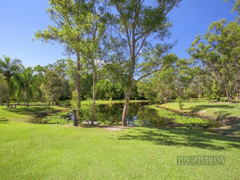 3 Cassowary Ct, Doonan QLD 4562