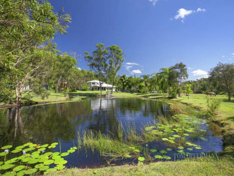 3 Cassowary Ct, Doonan QLD 4562