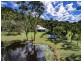 3 Cassowary Ct, Doonan QLD 4562